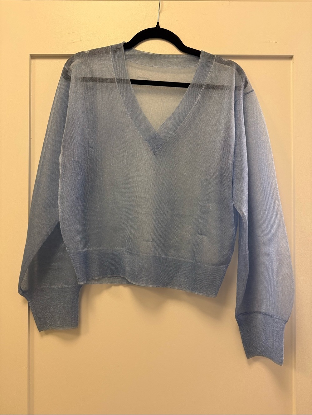 Sheer J. Crew Pale Blue V-Neck Top